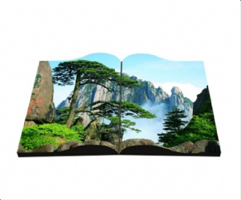 FLEXIBLE LED DISPLAYS